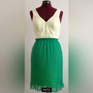 V-neckline Lace Top with Pleated Skirt Dress